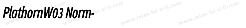 PlathornW03 Norm字体转换